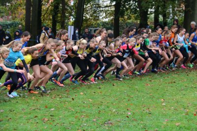 ASEUS - Cross-country 13/11/21