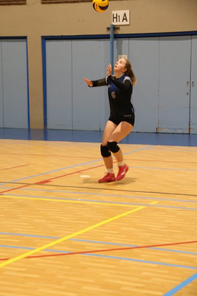 ASEUS - Volley H&D 17/11/21