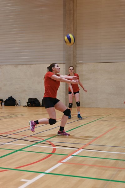 ASEUS - Volley dames 1/03/23