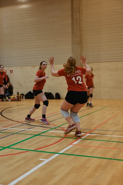 ASEUS - Volley dames 1/03/23