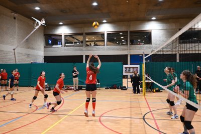 ASEUS - Volley-Ball D et H 15/11/23