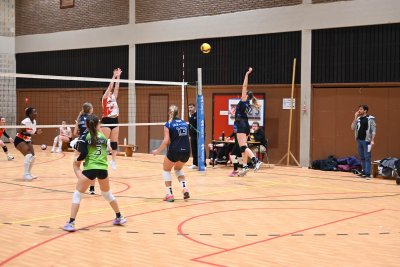 ASEUS - Volley-Ball D et H 15/11/23