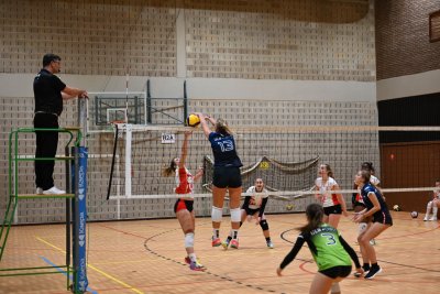 ASEUS - Volley-Ball D et H 15/11/23