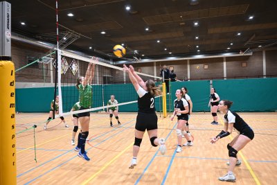 ASEUS - Volley-Ball D et H 15/11/23