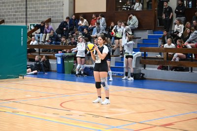 ASEUS - Volley-Ball D et H 15/11/23