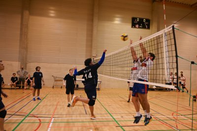 ASEUS - Volley-Ball D et H 22/11/23