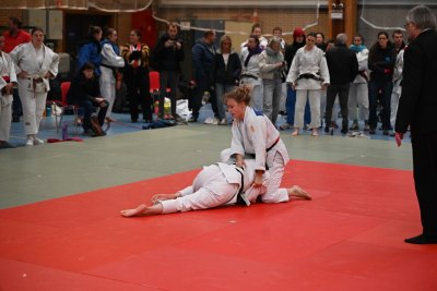 ASEUS -  Championnat FSUB judo individuel - 4/12/24