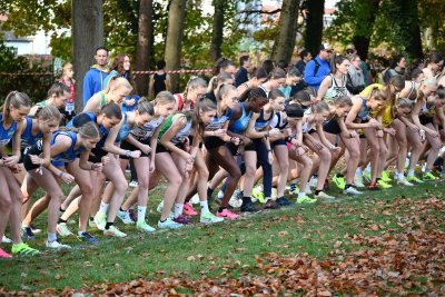 ASEUS - Championnat FSUB de Cross-country - 08/11/25