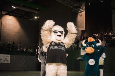 ASEUS - Finales ASEUS 2026